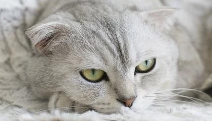 开云：开启云端创新的新篇章