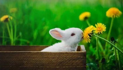 星空体育app：随时随地点亮你的运动热情